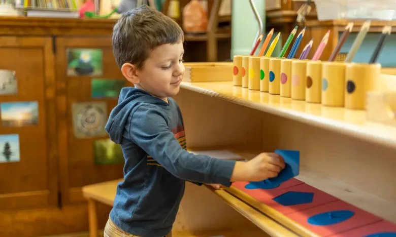 Public Montessori Outperforms Other Early Ed Programs Study Finds Public Montessori Outperforms Other Early Ed Programs Study Finds